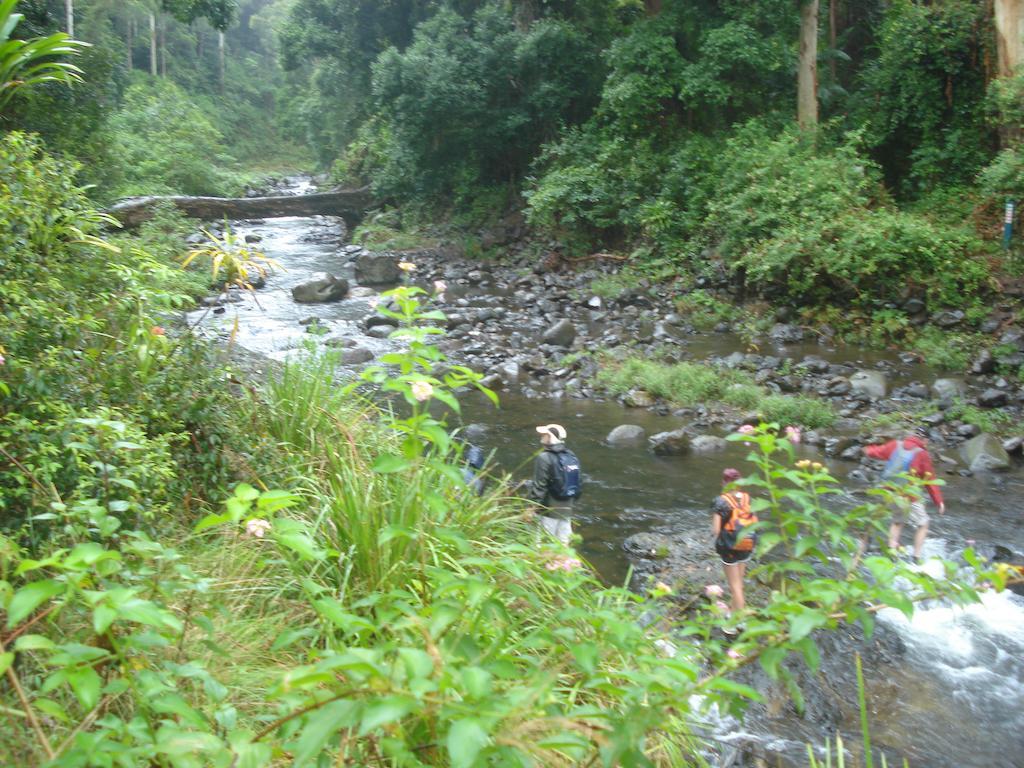Christmas Creek Café&Cabins Lamington Esterno foto