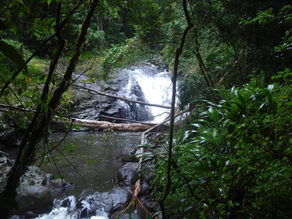 Christmas Creek Café&Cabins Lamington Esterno foto