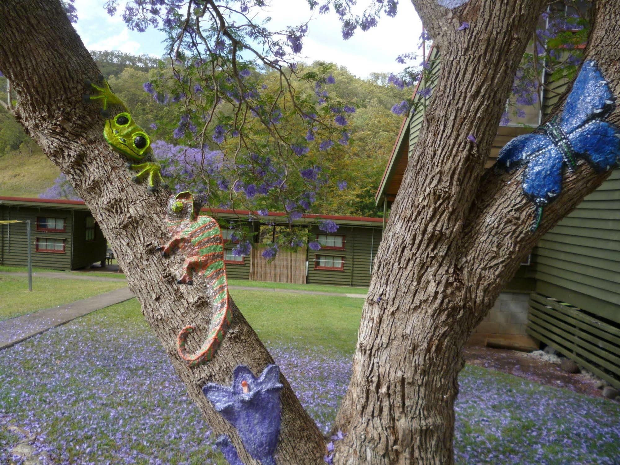 Christmas Creek Café&Cabins Lamington Esterno foto