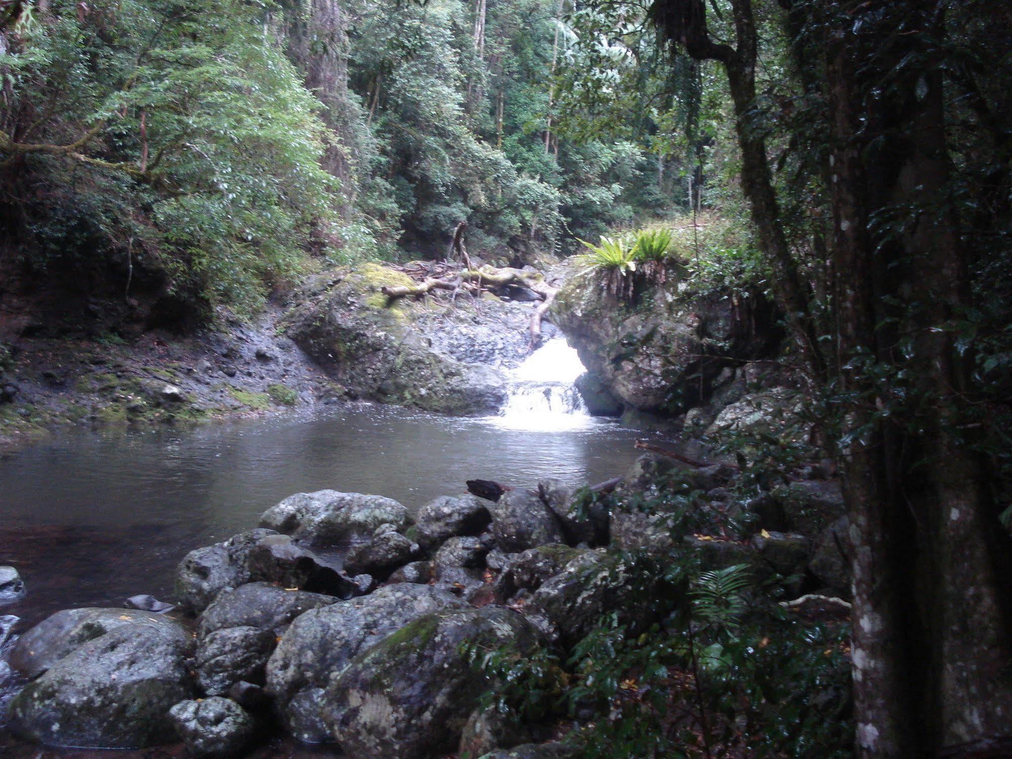 Christmas Creek Café&Cabins Lamington Esterno foto